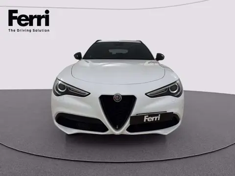 Used ALFA ROMEO STELVIO Diesel 2019 Ad 