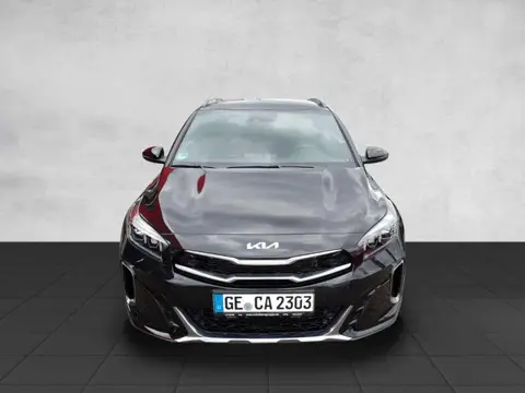 Annonce KIA XCEED Essence 2024 d'occasion 