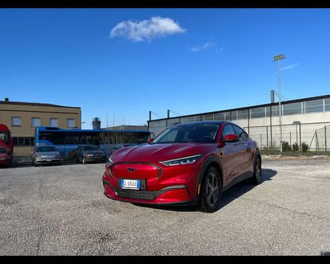 Annonce FORD MUSTANG Électrique 2023 d'occasion 