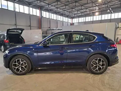 Used ALFA ROMEO STELVIO Diesel 2021 Ad 