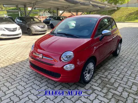 Annonce FIAT 500 Hybride 2024 d'occasion 