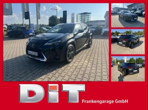 Used LEXUS UX Hybrid 2022 Ad 