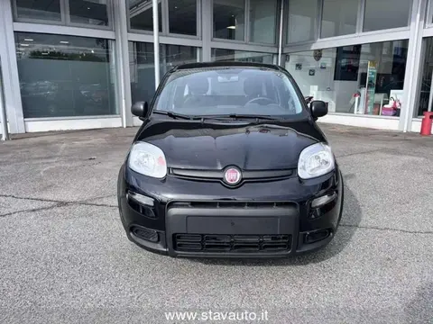 Used FIAT PANDA  2023 Ad 