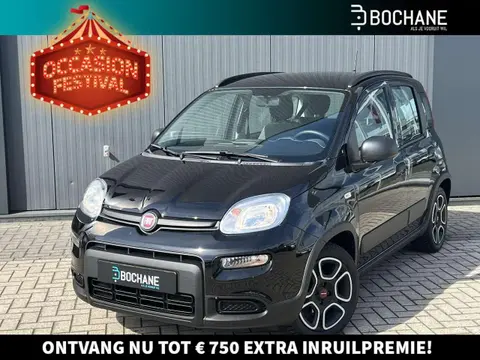 Annonce FIAT PANDA Hybride 2022 d'occasion 