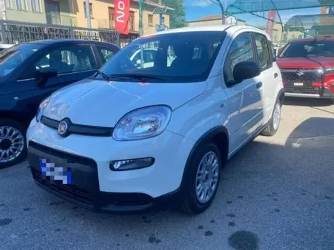 Used FIAT PANDA LPG 2023 Ad 