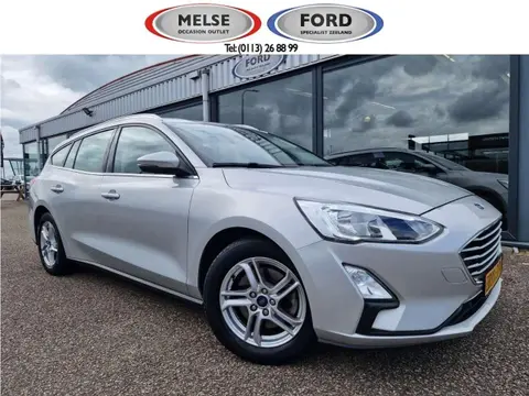 Used FORD FOCUS Petrol 2019 Ad 