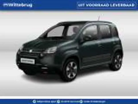 Used FIAT PANDA Hybrid 2024 Ad 