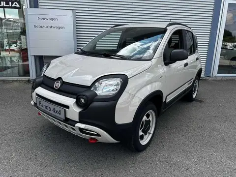 Used FIAT PANDA Petrol 2024 Ad 