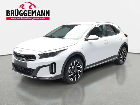 Used KIA XCEED Petrol 2024 Ad 