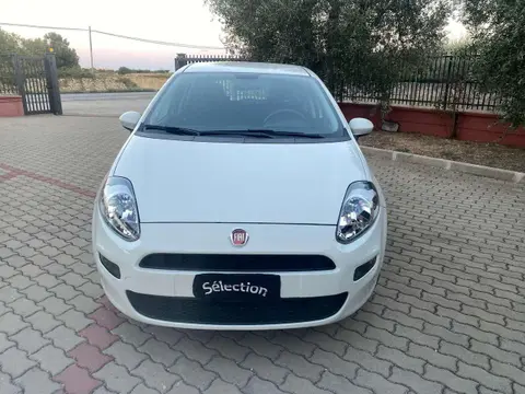 Used FIAT PUNTO Petrol 2017 Ad 