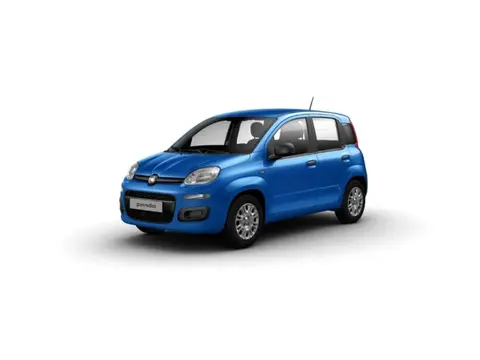 Annonce FIAT PANDA Hybride 2024 d'occasion 