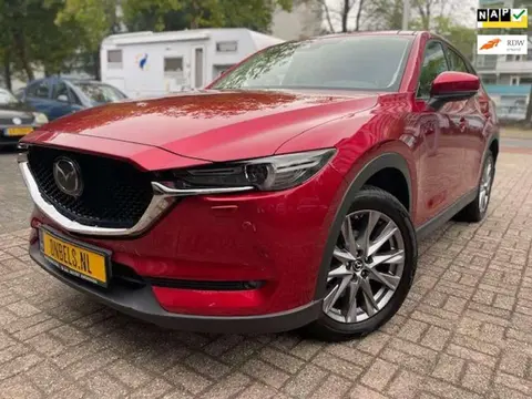 Used MAZDA CX-5 Petrol 2019 Ad 