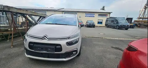 Annonce CITROEN C4 Essence 2019 d'occasion 