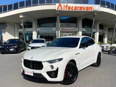 Used MASERATI LEVANTE Diesel 2019 Ad 