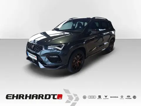 Annonce CUPRA ATECA Essence 2024 d'occasion 