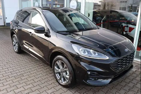 Used FORD KUGA Hybrid 2024 Ad 