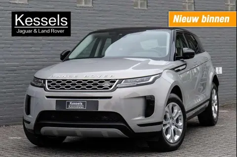 Used LAND ROVER RANGE ROVER Diesel 2019 Ad 