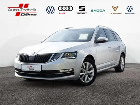 Annonce SKODA OCTAVIA Diesel 2019 d'occasion 