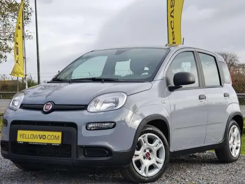 Annonce FIAT PANDA Essence 2023 d'occasion 