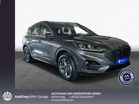 Used FORD KUGA Hybrid 2022 Ad 