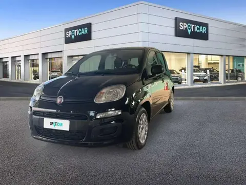 Annonce FIAT PANDA Essence 2020 d'occasion 