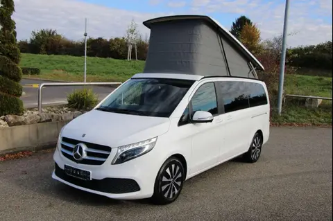 Used MERCEDES-BENZ MARCO POLO Diesel 2020 Ad 