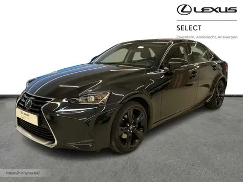 Used LEXUS IS Hybrid 2017 Ad 