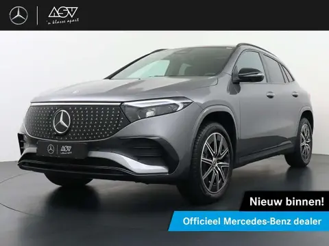 Annonce MERCEDES-BENZ EQA Électrique 2024 d'occasion 