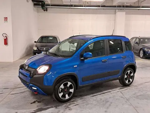 Used FIAT PANDA Hybrid 2024 Ad 