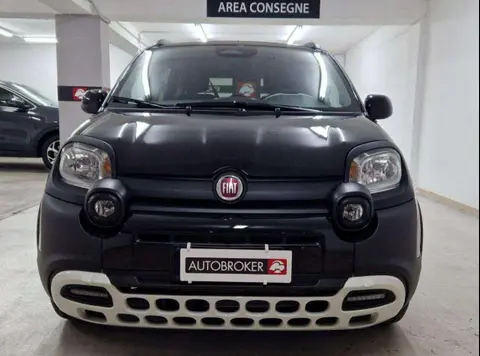 Annonce FIAT PANDA Hybride 2024 d'occasion 