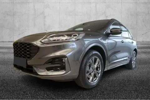 Used FORD KUGA Hybrid 2021 Ad 