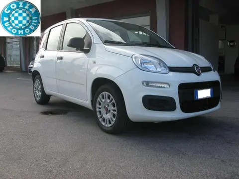 Used FIAT PANDA Petrol 2020 Ad 