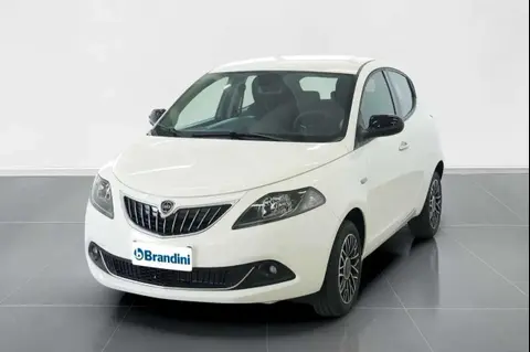 Used LANCIA YPSILON Hybrid 2024 Ad 