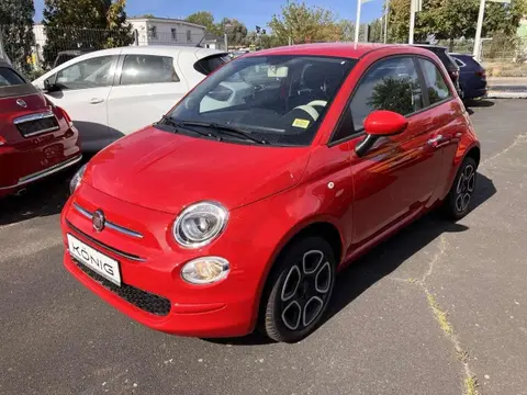 Used FIAT 500 Petrol 2022 Ad 