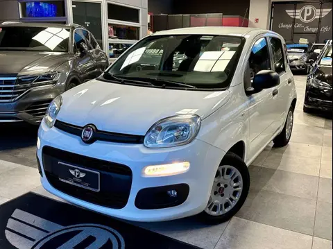 Used FIAT PANDA Petrol 2019 Ad 