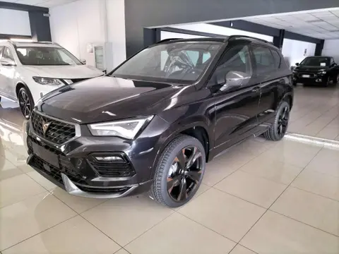 Used CUPRA ATECA Petrol 2024 Ad 