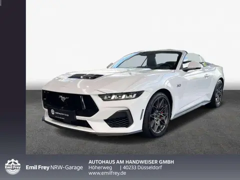 Used FORD MUSTANG Petrol 2024 Ad 