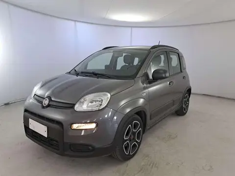 Annonce FIAT PANDA Hybride 2021 d'occasion 