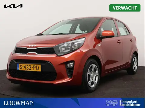 Annonce KIA PICANTO Essence 2023 d'occasion 