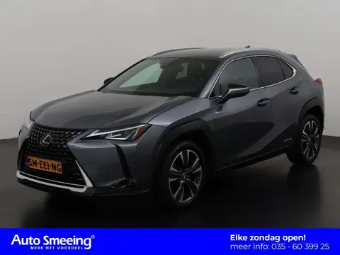 Used LEXUS UX Hybrid 2021 Ad 