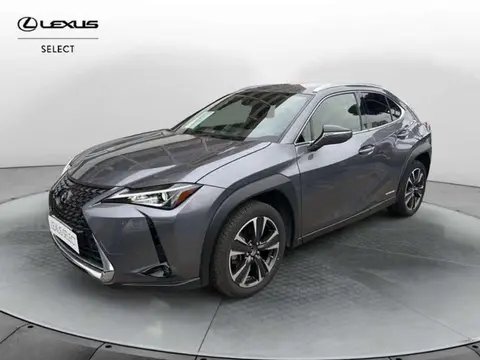 Used LEXUS UX Hybrid 2019 Ad 