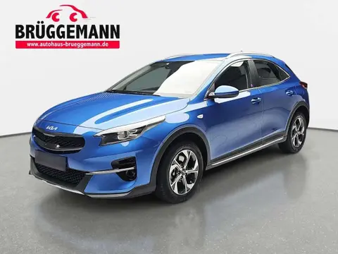 Used KIA XCEED Petrol 2022 Ad 