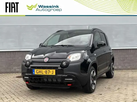 Used FIAT PANDA Hybrid 2024 Ad 