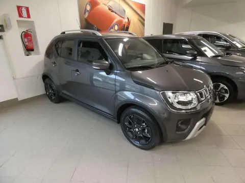 Used SUZUKI IGNIS Hybrid 2024 Ad 