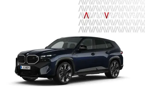 Annonce BMW XM Hybride 2023 d'occasion 