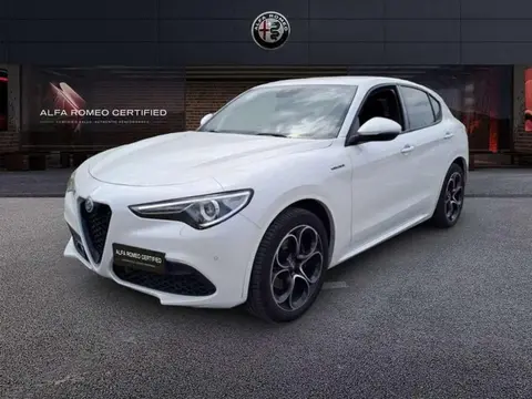 Used ALFA ROMEO STELVIO Diesel 2021 Ad 