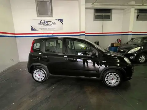 Used FIAT PANDA Hybrid 2024 Ad 