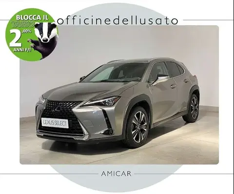 Used LEXUS UX Hybrid 2019 Ad 