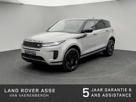 Annonce LAND ROVER RANGE ROVER EVOQUE Essence 2024 d'occasion 