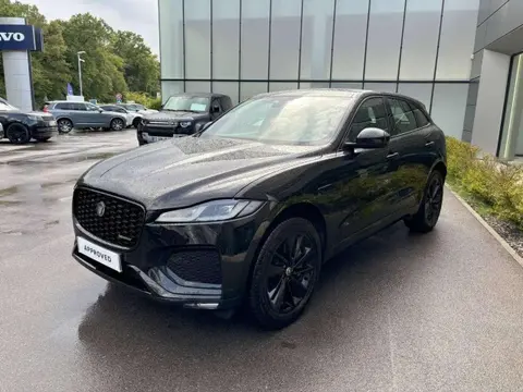 Used JAGUAR F-PACE Hybrid 2023 Ad 